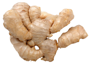 Ginger PNG-16802